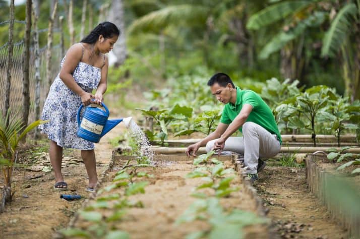With food projects in more than 20 countries, Samaritan’s Purse Canada is working through your prayers and gifts to confront a growing global hunger crisis. One of the most effective ways to relieve suffering from hunger is by training families to grow plentiful, resilient gardens, like this one in the Philippines.