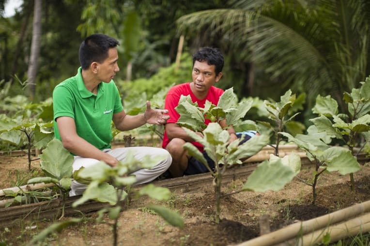 Staff teach beneficiaries how to grow income-producing home and community gardens.