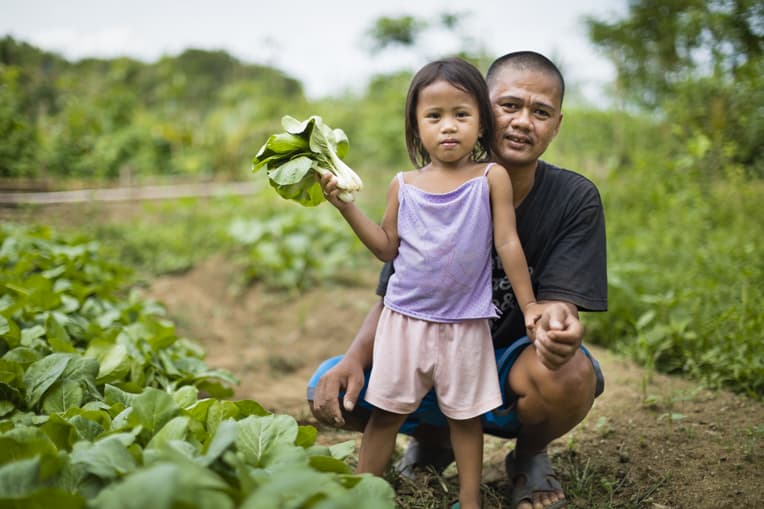 Families work together to grow the vegetables in their gardens.