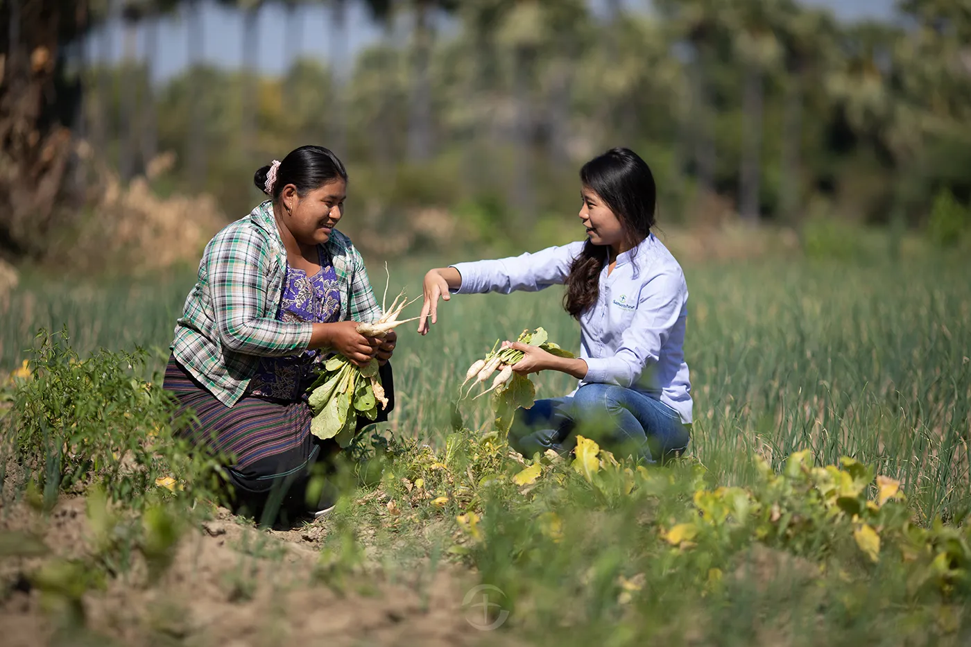 Agriculture training and food-security support helping families grow stronger harvests.