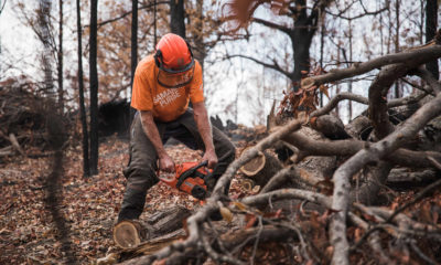 Chainsaw work is needed to clear properties and remove debris.
