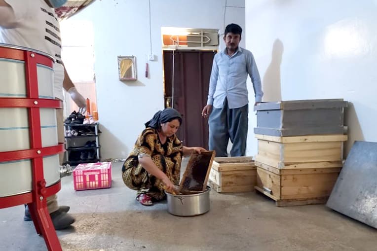 Kameela harvested 35 pints of honey in June.