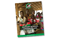 Primary School Lesson Plans
