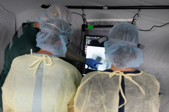 Doctors read the lung X-ray of an ICU patient.
