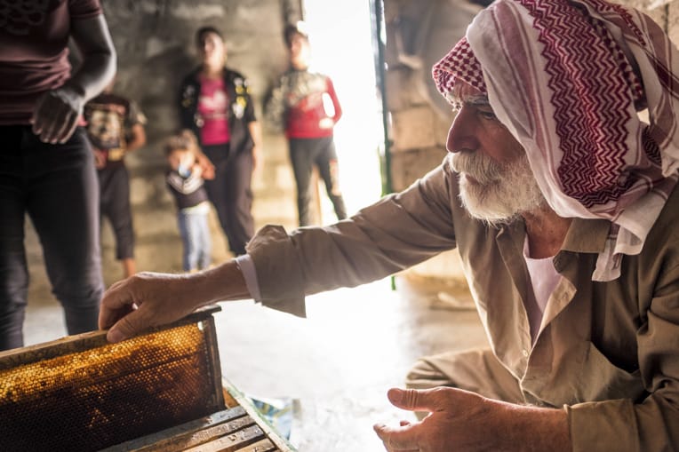 Yazidi families are learning the practice of beekeeping from Samaritan’s Purse staff.