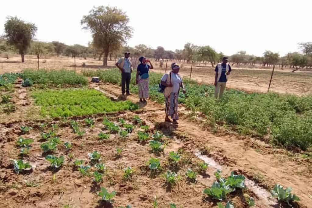 The Good News of Jesus Christ is producing a spiritual harvest in Karofane communities.