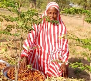 The crop yields have increased signficantly, and now, even during the lean season, better preservation practices increase food stores.
