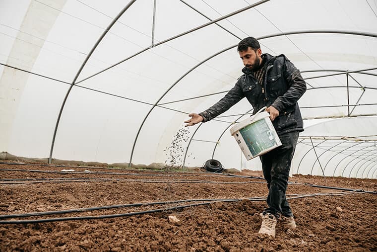 Dakhil scatters fertilizer in his greenhouse.