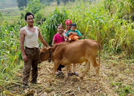 Vietnamese family stands next to cow.