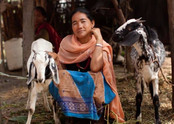 Woman in Nepal with two goats