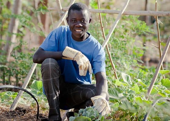 Senegalese man next to crop