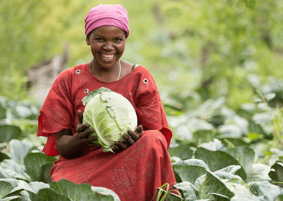 African lady in garden holding cabbage