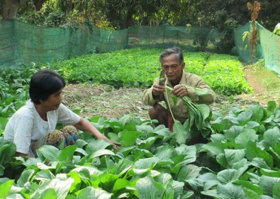 Man and women in garden