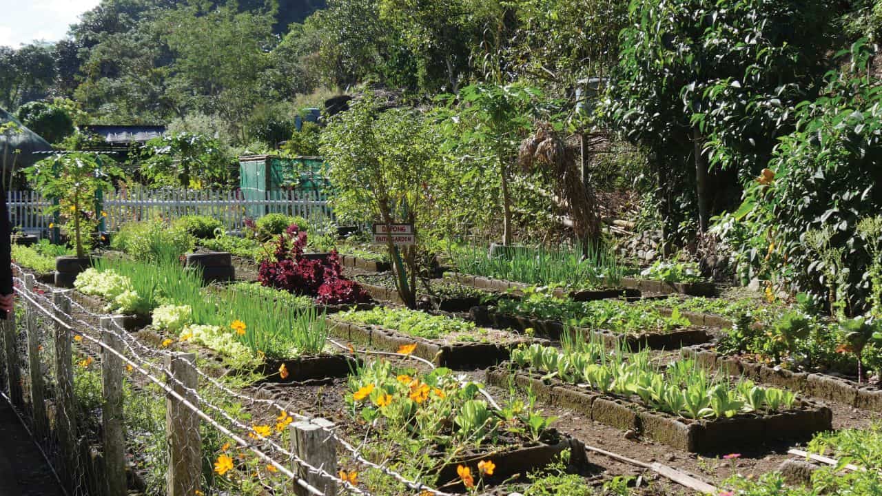 This community garden provides healthy food to Rita's community and to a local orphanage.