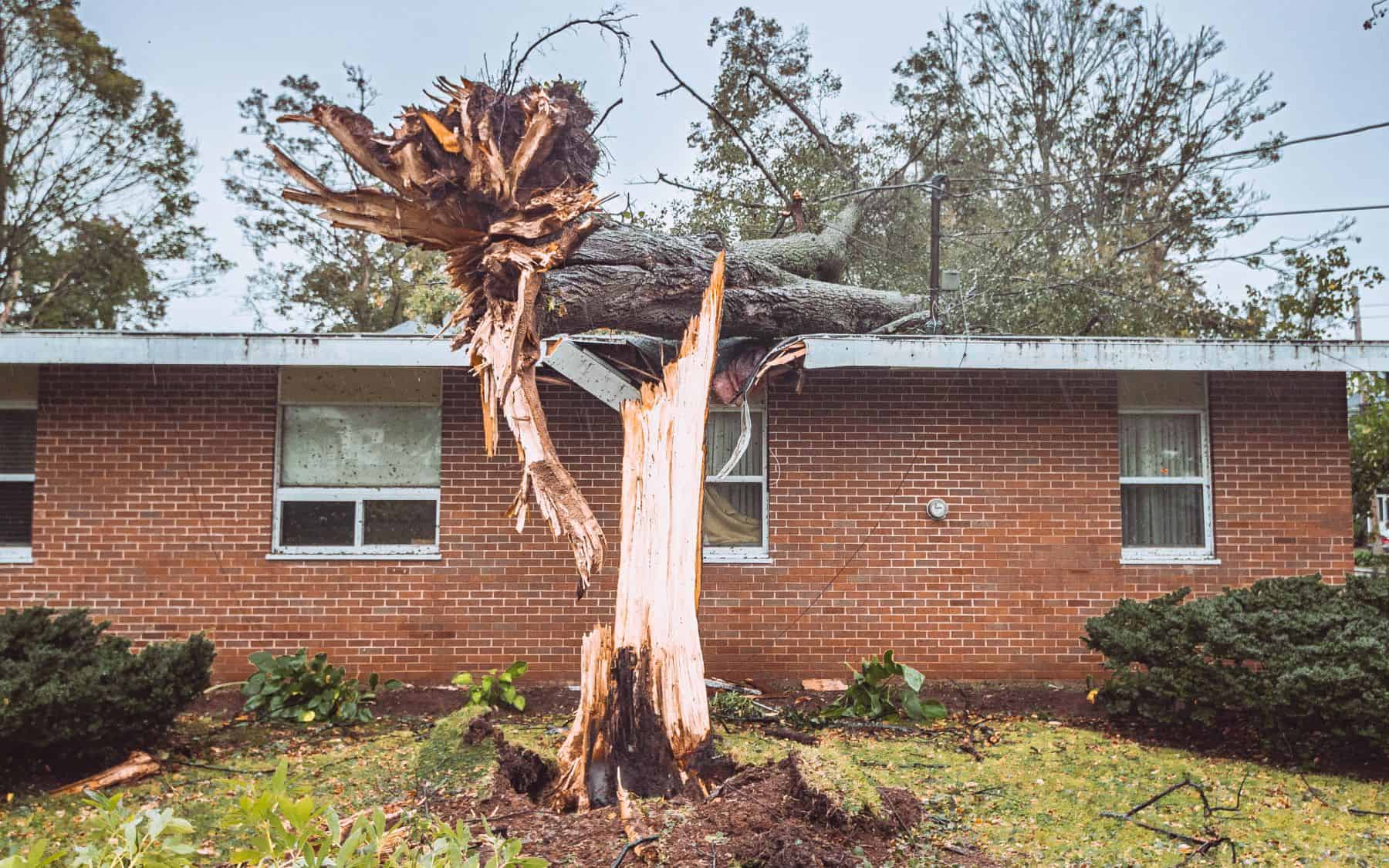 Please pray for the many hurting families and for our teams as we respond in the wake of such devastation.