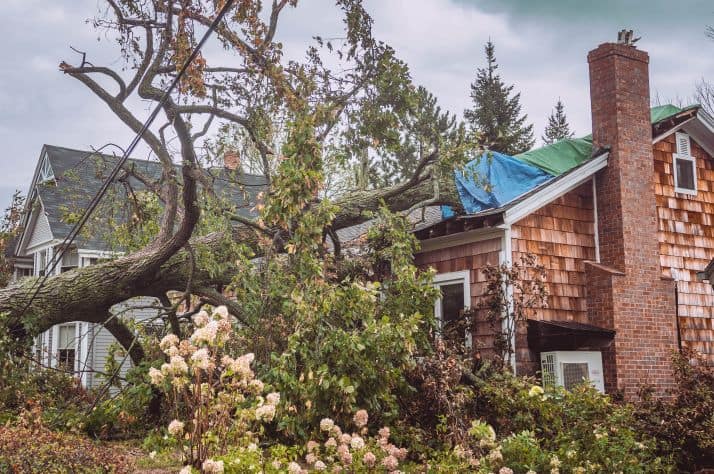 Fiona, one of the strongest storms to hit Canada, has left a trail of destruction across the Atlantic. Homes and roofs are smashed, trees torn from their roots, and power out for thousands.