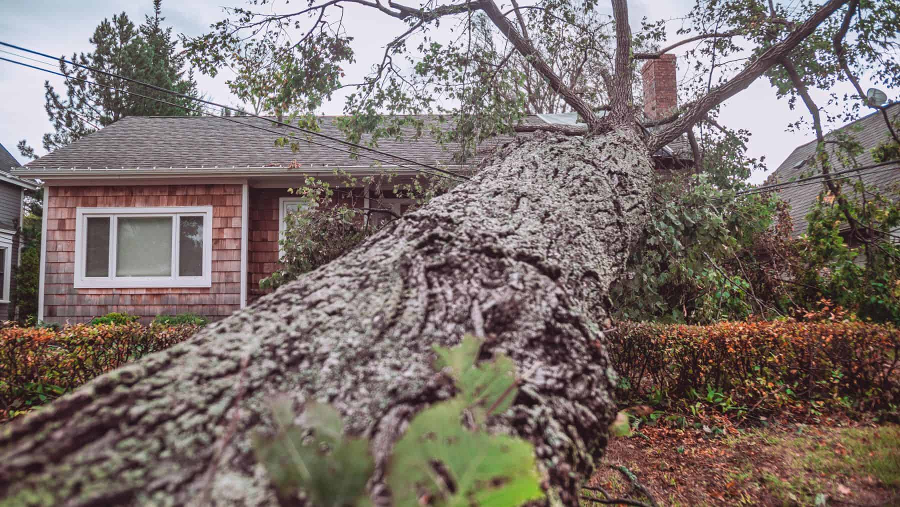 These teams will cut and remove fallen trees, clean up debris from homes, and put tarp on damaged roofs and windows as needed. This is the second time our relief teams have served in P.E.I. We assisted people impacted by Hurricane Dorian in 2019.