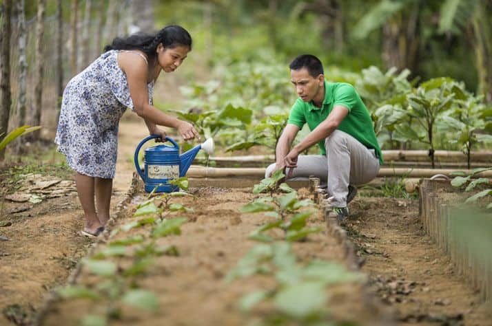 Samaritan's Purse staff teach about home and community gardening.