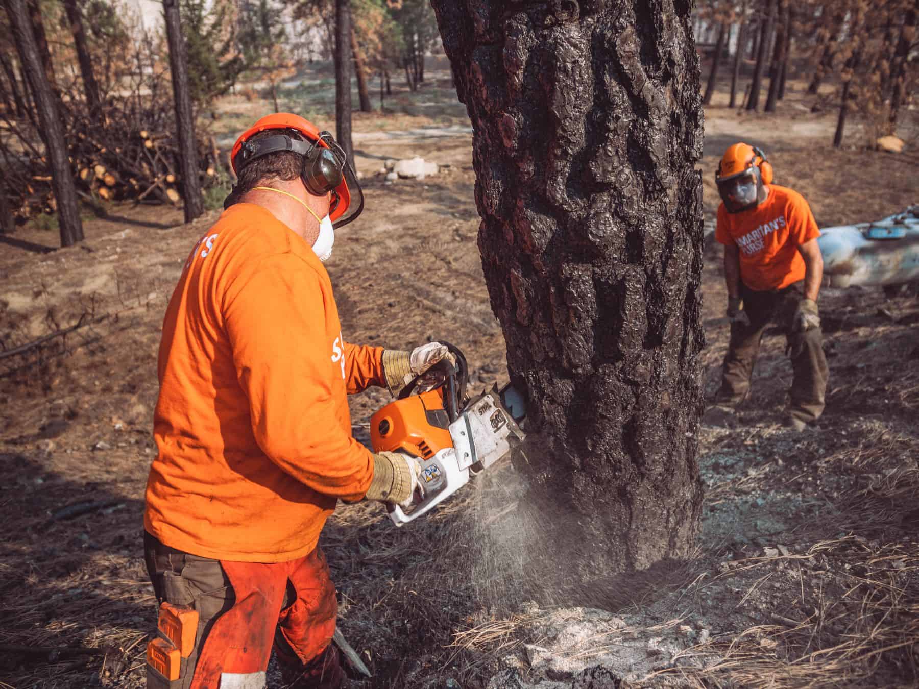 Armed with chainsaws and a skid steer, teams of volunteers helped clear properties of damaged trees that were at risk of falling.