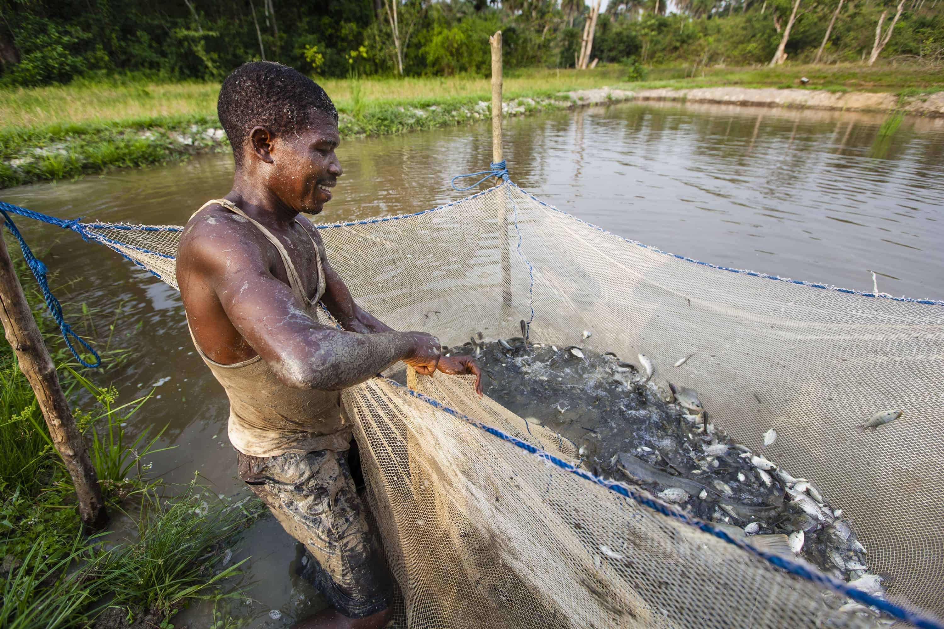 Samaritan's Purse built the fish pond in Liberia to help families in need.
