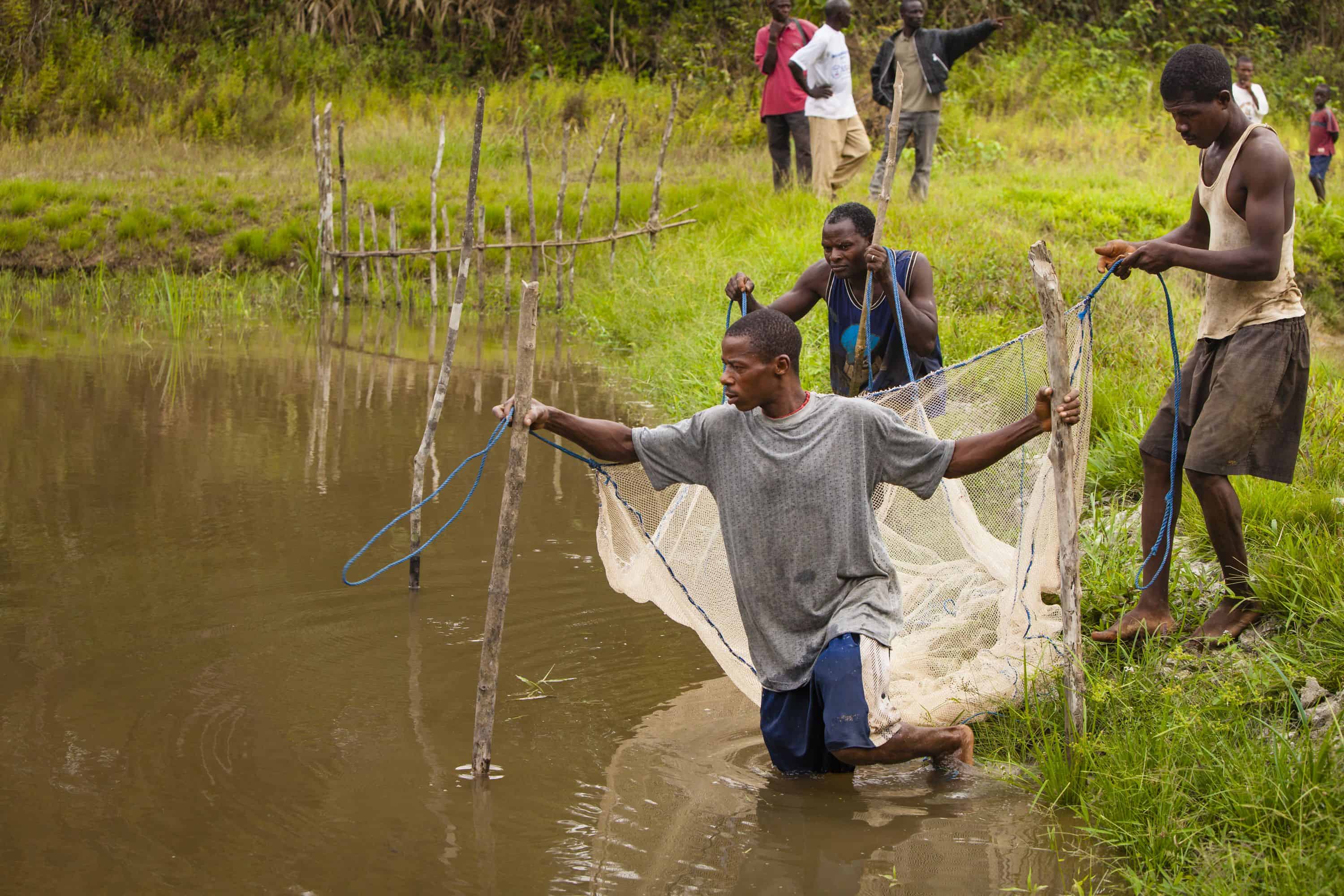 After harvesting the fish, the church shared their catch with everyone in the community regardless of their religion.