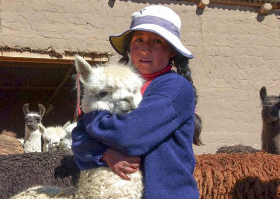 Bolivian girl hugs llama
