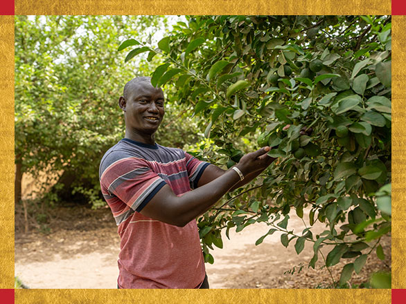 A smiling Pastor Ernest proudly inspects the healthy, green leaves on a fruit tree in his garden in Senegal, a direct result of the agricultural project supported by Samaritan's Purse.
