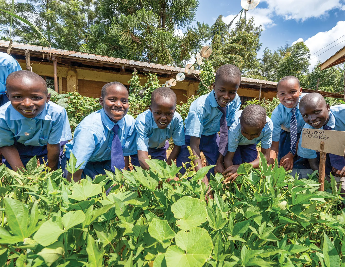Agriculture training and food-security support helping families grow stronger harvests.