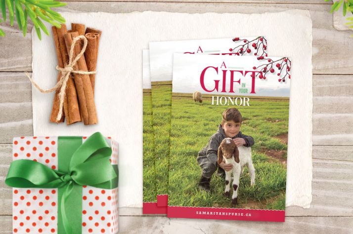 Millions of women are exploited, abused, neglected, and marginalized every day. Restore hope and dignity when you give a gift from the Samaritan's Purse Gift Catalog.