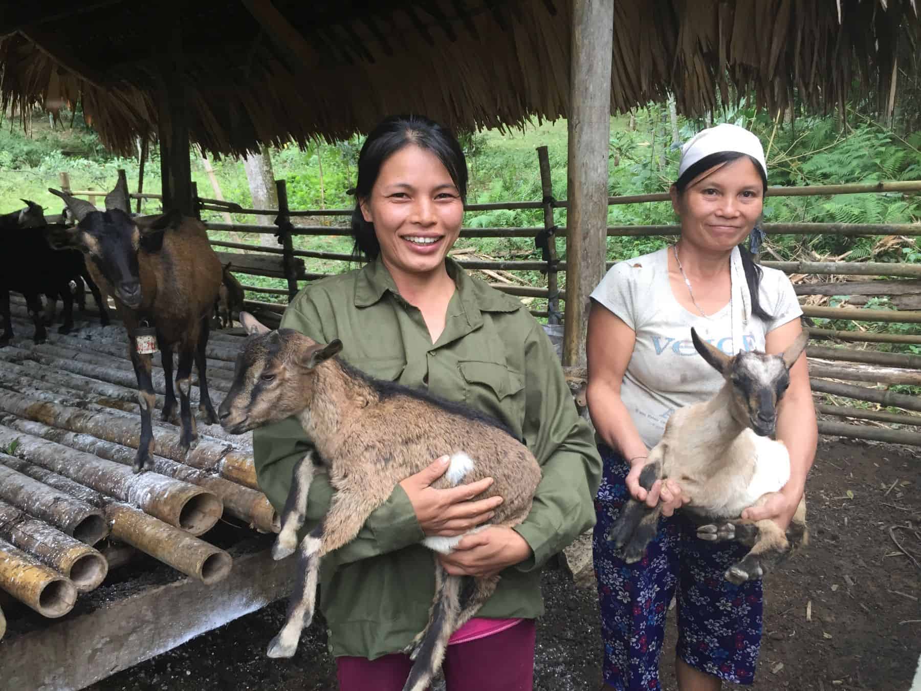 Goats provide families with a sustainable way to provide food.