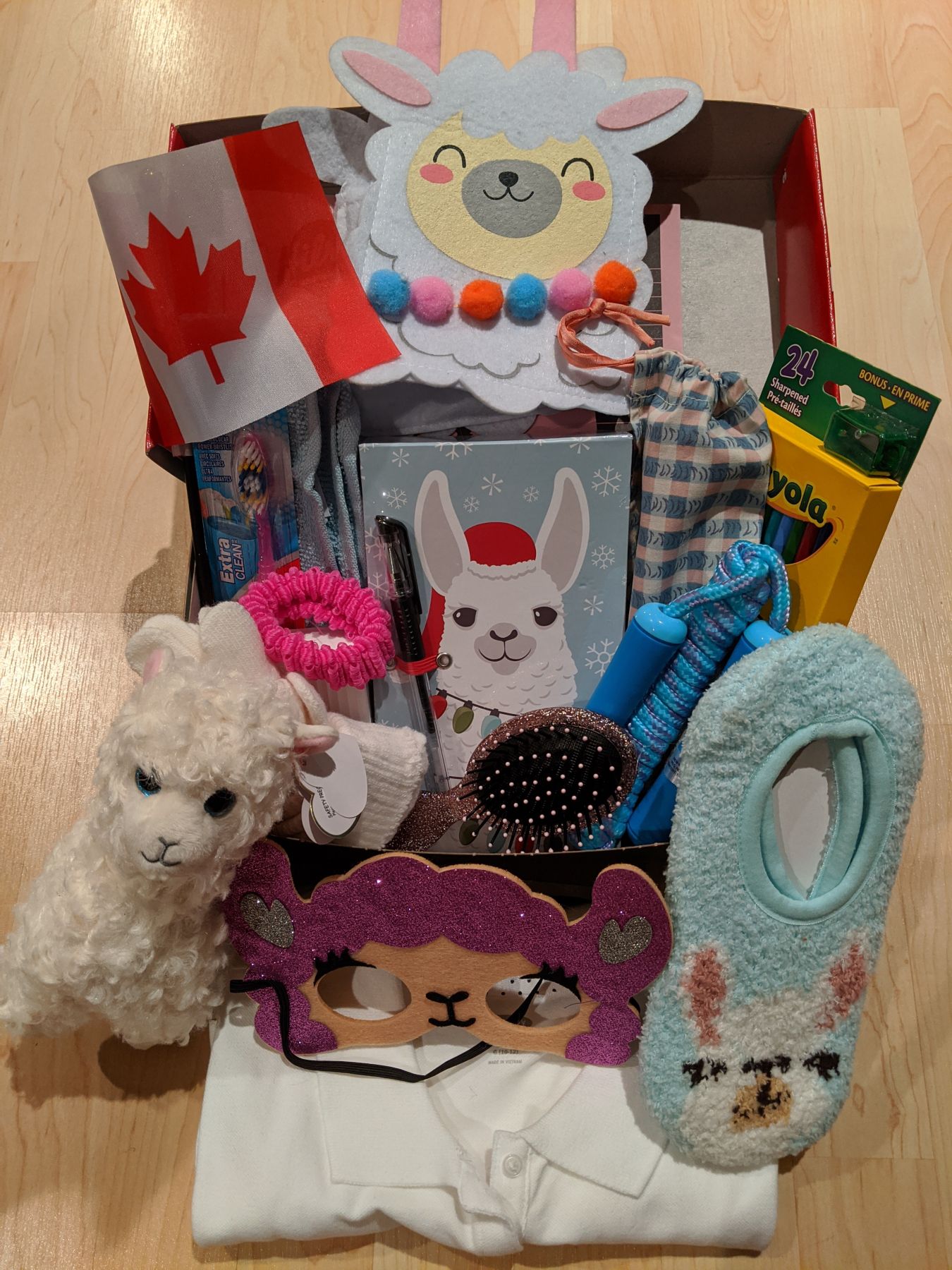 Julie packed this fun alpaca themed shoebox, which is sure to become a priceless treasure for the child who receives it!