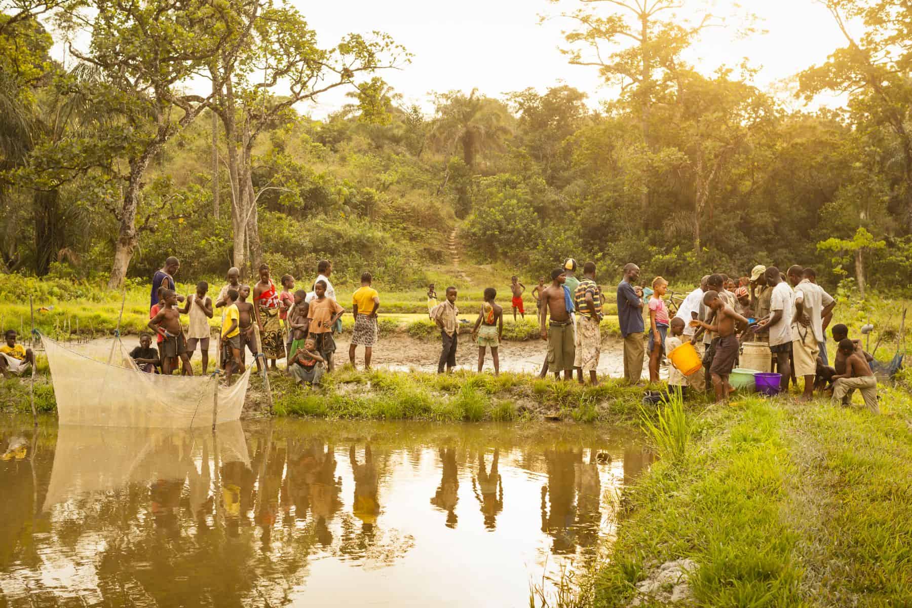 The muddy fish ponds are located deep in the  jungle of Liberia.