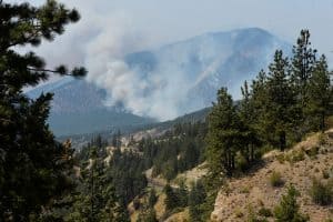 Lytton wildfire
