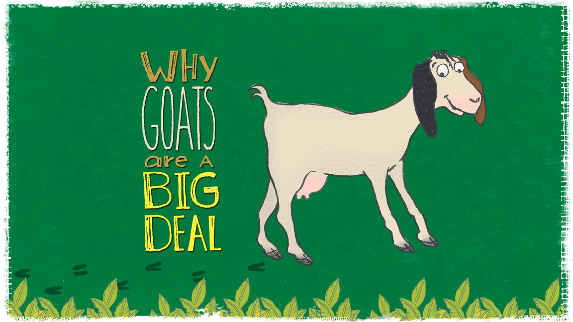 why goats are a big deal